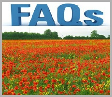 JPEG Frequently Asked Questions